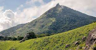 மலையில் இருந்து வாலிபரை தூக்கி எறிந்த ரவுடி கும்பல்