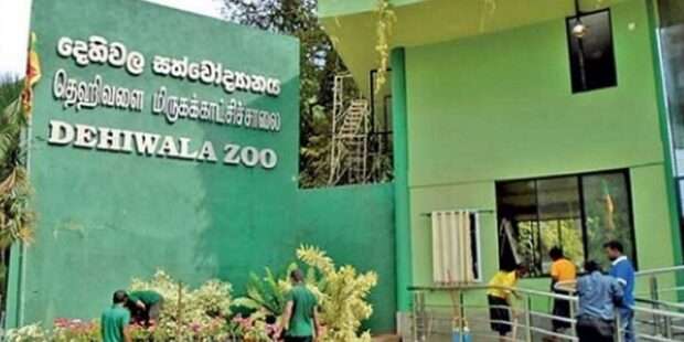 மிருகக்காட்சிசாலையை இலவசமாக பார்வையிட வாய்ப்பு