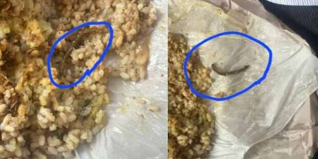 உணவில் மட்டைத்தேள் உணவகத்திற்கு சீல்