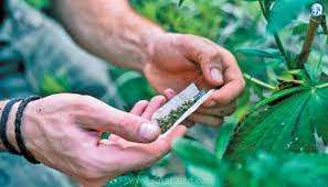 கஞ்சா கற்பழிப்பு தமிழ் ஊடகங்களின் தலைப்பு