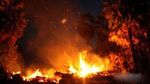 தீயில் எரிந்து ஒருவர் மரணம்