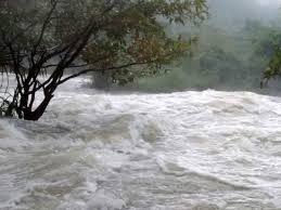 அவசர எச்சரிக்கை