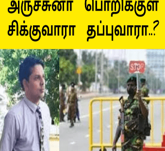அர்ச்சுனா இராமநாதன் பொறிக்குள் சிக்குவரா தப்புவாரா