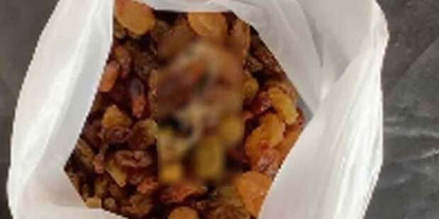 கடையில் வாங்கிய திராட்சையில் பல்லி