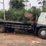 மாடுகளை ஏற்றிச் சென்ற லொறி விபத்து