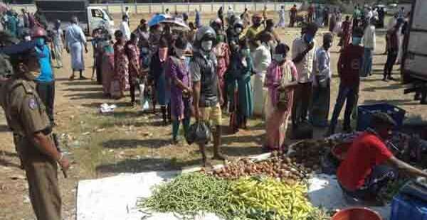 பச்சை மிளகாய் கசந்தது