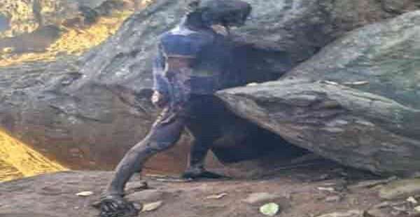 நின்றுகொண்டிருந்த சடலம் மீட்பு