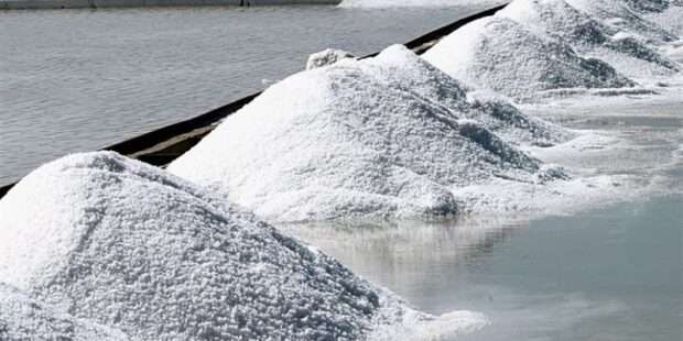 ஆனையிறவு உப்பு தொழிற்சாலை திறப்பு