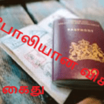 போலியான விசாவோடு இருவர் கைது