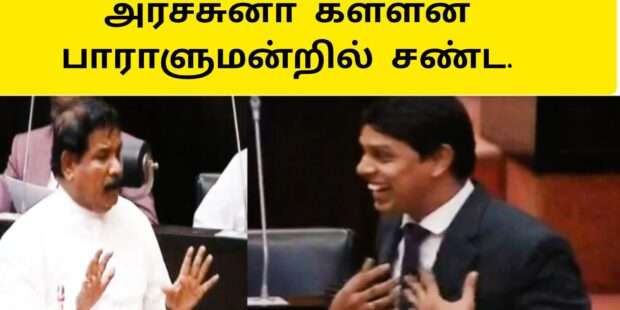 இரண்டு பைத்தியங்கள் சண்டை