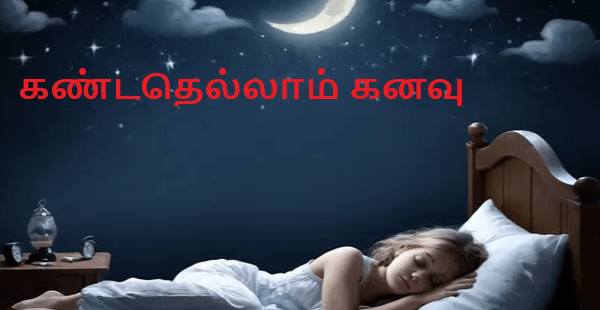 கண்டதெல்லாம் கனவு