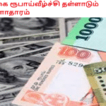 இலங்கை ரூபாய்வீழ்ச்சி தள்ளாடும் பொருளாதாரம்