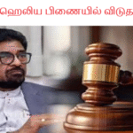 கெஹெலிய பிணையில் விடுதலை