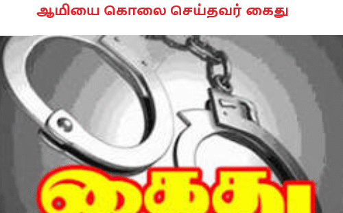 ஆமியை கொலை செய்தவர் கைது