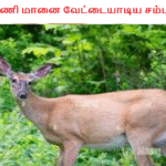 கர்ப்பிணி மானை வேட்டையாடிய சம்பவம்