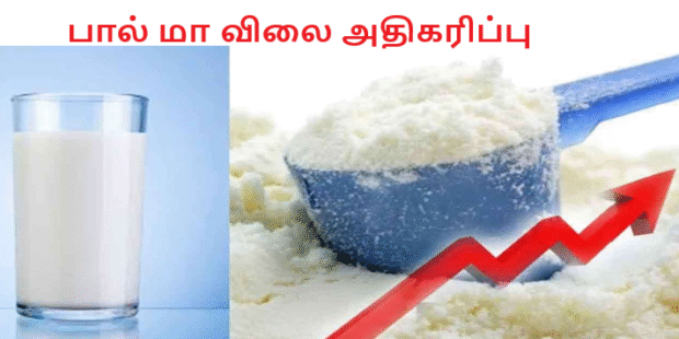 பால் மா விலை அதிகரிப்பு