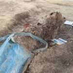 செம்மணியில் மீட்கப்பட்ட 54 சான்று