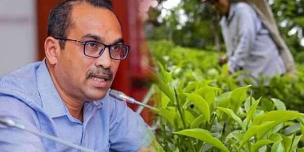 தோட்டத் தொழிலாளர்களின் ஊதிய உயர்வு