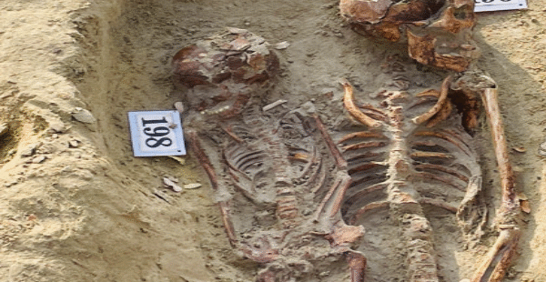 8எலும்பு கூடுகள் மீட்பு செம்மணியில்