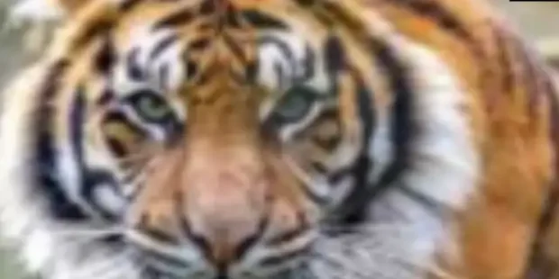 கரிகாலன் படை வரவேண்டும்