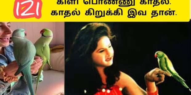 வயல் கரைக்கு கிளி கலைக்க வந்த பெண்ணாடி | காரை சேனாதி பாடல் |Vanni Mainthan Songs