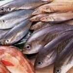 பழுதடைந்த மீனை விற்ற கடைக்கு ஆப்பு