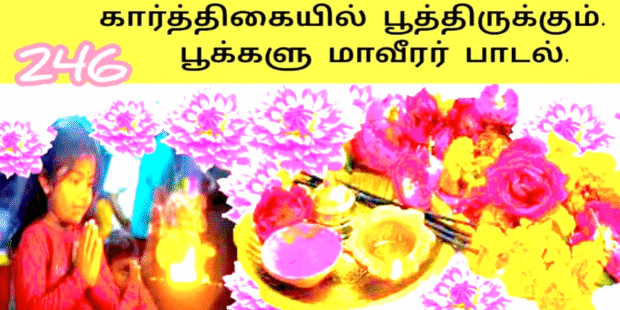 கார்த்திகையில் பூத்திருக்கும் பூக்களுக்கு | மாவீரர் பாடல்