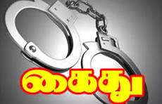 500 000 தென்னை மரக்கன்றுகளை விநியோம்