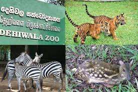 தெஹிவளை மிருகக்காட்சிசாலை
