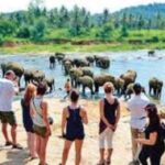 இலங்கையில் சுற்றுலாப் பயணிகளின் செலவு