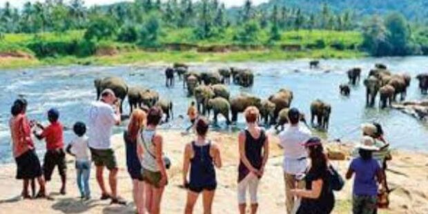 இலங்கையில் சுற்றுலாப் பயணிகளின் செலவு