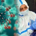 கொழும்பில் நிபா வைரஸ் நாடு முபாக்க படும் அபாயம்