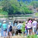 சுற்றுலா இலக்குகளை அதிகரிக்க SLTDA சிறப்புத் திட்டம்