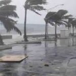 சூறாவளியால் பாதிக்கப்பட்ட தொழில்களுக்கான வணிகப் பதிவு