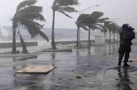 சூறாவளியால் பாதிக்கப்பட்ட தொழில்களுக்கான வணிகப் பதிவு