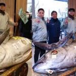 டோக்கியோ ஏலத்தில் புளூஃபின் டுனா சாதனை