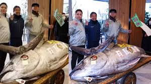 டோக்கியோ ஏலத்தில் புளூஃபின் டுனா சாதனை