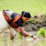இலங்கை வேளாண் விதிகளை கடுமையாக்குகிறது