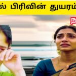 தாய் மடி தந்த தாயுமானவனே | Thaai Mai thantha Thaayumaanavane | Ai Tamil Song