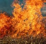 பறிமுதல் செய்யப்பட்ட போதைப்பொருள்