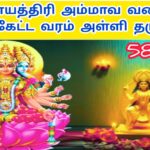 காயத்திரி அம்மா காயத்திரி அம்மா|Gayathri Amma Gayathri Amma|581| | VANNI MAINTHAN Song