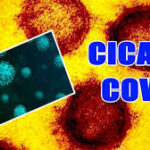 புதிய கோவிட் பரவல் அடித்து பூட்ட நடவடிக்கை அனுரா நாடகம் ஆரம்பம்