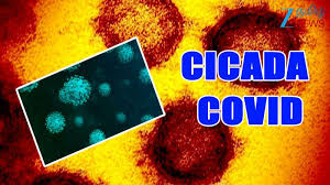 புதிய கோவிட் பரவல் அடித்து பூட்ட நடவடிக்கை அனுரா நாடகம் ஆரம்பம்