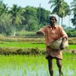 காணிகளை வாங்கி குவிக்கும் மக்கள்