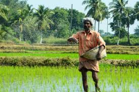 காணிகளை வாங்கி குவிக்கும் மக்கள்