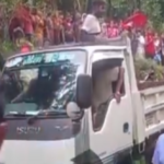 மரம் விழுந்து விபத்தில் பள்ளி மாணவன் இரு பெண்கள் பலி