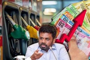 எரிபொருள் விலை மாற்றம் குறித்து அமைச்சர் முடிவெடுக்கவில்லை