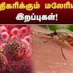 இலங்கையில் வேகமாக பரவும் காய்ச்சால்