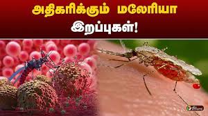 இலங்கையில் வேகமாக பரவும் காய்ச்சால்