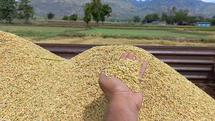 நெல்லை வாங்க மறுக்கும் அரசு விவசாயிகள் குமுறல்